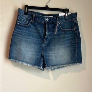 LOFT Blue Jean Shorts Distressed Cut-Off Style